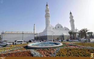 مسجد قبا