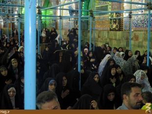 برپايي دعاي پرفيض كميل و ندبه در خيمه گاهِ امام حسين  تصاوير