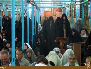 طنين دعاي كميل در كربلاي معلي + تصاوير