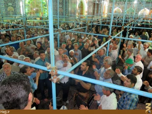طنين دعاي كميل در كربلاي معلي + تصاوير