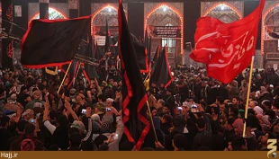 كربلا در شب و روز رحلت عقيله بني هاشم غرق ماتم بود