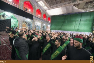 كربلا در شب و روز رحلت عقيله بني هاشم غرق ماتم بود