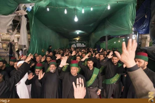 كربلا در شب و روز رحلت عقيله بني هاشم غرق ماتم بود