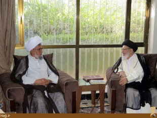 تاكيد آيت الله قزويني بر اتحاد و همدلي در برابر داعشي‌ها