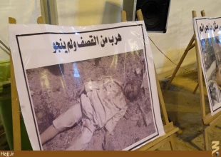 نمايشگاه عكس يمن در كنار حرم سيدالشهدا برپا شد