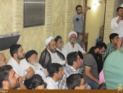 مراسم جشن ميلاد امام رضا در نجف برگزار شد