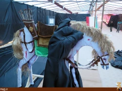 مراحل آماده سازي موكب امام رضا در كربلا+ تصاوير