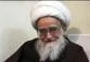 آیة الله الکلبایکانی لخَدَمة وزوار الاربعین : لقد برهنتم شدّة ولائکم واستعدادکم للتضحیة