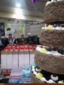 برگزاري مراسم ميلاد حضرت رسول اكرم (ص)و امام جعفر صادق (ع)