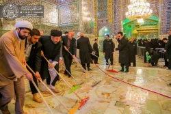 بررسي راهكارهاي مشترك بين آستان قدس علوي و رضوي