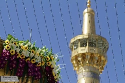 گل آرايي حرم مطهر رضوي در دهه كرامت به روايت خبر و تصوير