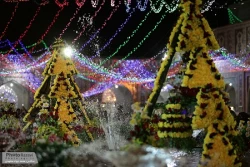 حال و هواي حرم مطهر رضوي در شب ميلاد حضرت معصومه(س) همراه با تصاوير