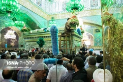 تعويض گلدان‌هاي ضريح مطهر امام رضا (ع) به روايت خبر و تصوير