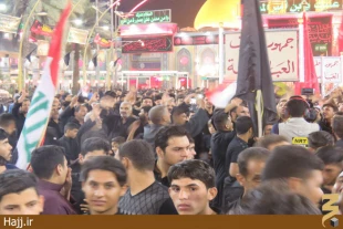 شب چهارم محرم در كربلا  گزارش تصويري