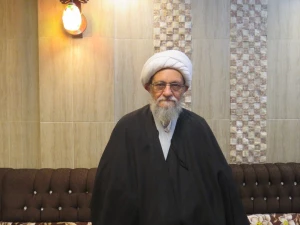 آیت الله عالمی عضو مجلس خبرگان رهبری:

آل سعود، حج را از اهداف اصلی خود دور کرده است