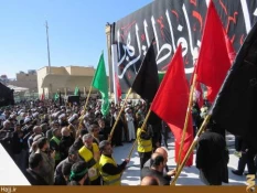 موكب امام رضا در نجف اشرف به راه افتاد   تصاوير
