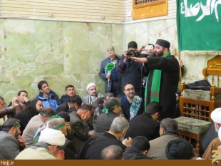 موكب امام رضا در نجف اشرف به راه افتاد   تصاوير