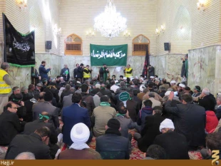 موكب امام رضا در نجف اشرف به راه افتاد   تصاوير
