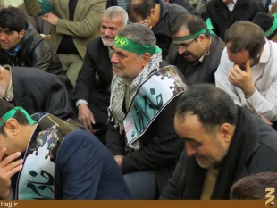 موكب امام رضا در نجف اشرف به راه افتاد   تصاوير