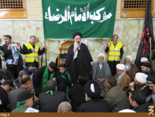 موكب امام رضا در نجف اشرف به راه افتاد   تصاوير