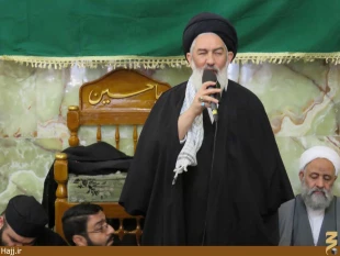 موكب امام رضا در نجف اشرف به راه افتاد   تصاوير