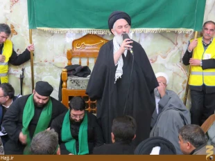 موكب امام رضا در نجف اشرف به راه افتاد   تصاوير