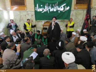 موكب امام رضا در نجف اشرف به راه افتاد   تصاوير