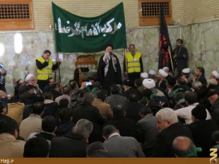 موكب امام رضا در نجف اشرف به راه افتاد   تصاوير
