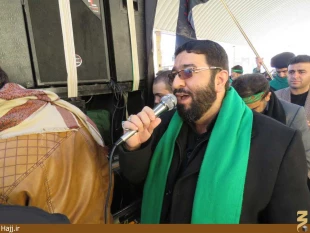 موكب امام رضا در نجف اشرف به راه افتاد   تصاوير