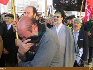 موكب امام رضا در نجف اشرف به راه افتاد   تصاوير