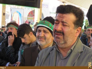 موكب امام رضا در نجف اشرف به راه افتاد   تصاوير