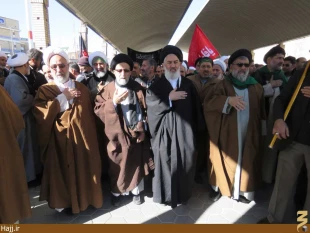 موكب امام رضا در نجف اشرف به راه افتاد   تصاوير