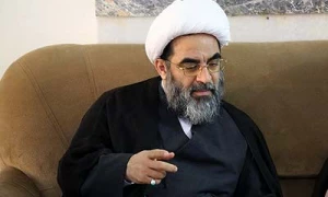آیت الله فاضل لنکرانی در گفتگو با پایگاه اطلاع رسانی حج:

حقیقت زیارت توحید است