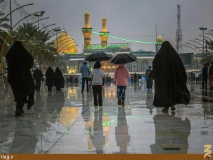 در روز طبيعت، كربلا هم باراني بود + تصاوير