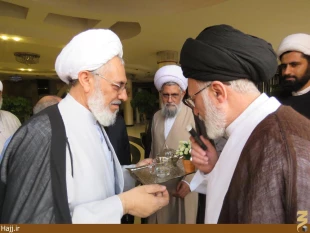 حجت الاسلام والمسلمين قاضي عسكر به ايران بازگشت