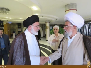 حجت الاسلام والمسلمين قاضي عسكر به ايران بازگشت