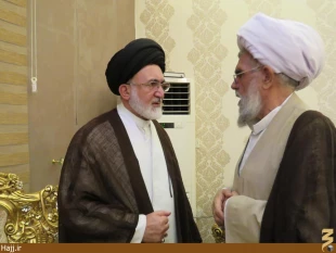 حجت الاسلام والمسلمين قاضي عسكر به ايران بازگشت