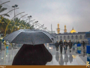 در روز طبيعت، كربلا هم باراني بود + تصاوير