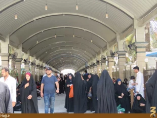 حال و هواي كربلا در آستانه ميلاد حضرت مهدي (عج) گزارش تصويري1