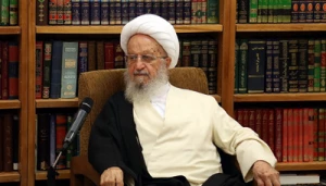 آیت‌الله مکارم‌شیرازی: از دادن رأی سفید در انتخابات بپرهیزید