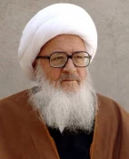 طرف عربستاني برعزت، امنيت و احترام حجاج ايراني تاكيد كرده است