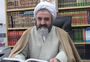 نماینده خبرگان رهبری در گفت‌و‌گو با پایگاه‌حج:

حجّ واجب الهی بوده و تعطیل‌بردار نیست