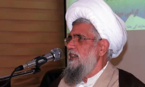 از سوی حجت‌الاسلام نجفی روحانی صورت گرفت؛

تبیین منشور زندگی مشترک علوی در جشن زوج‌های جوان زائر