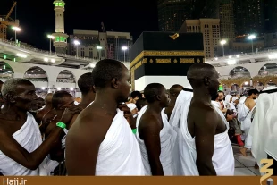 حج ابراهيمي، زمينه ساز انسجام اسلامي گزارش تصويري