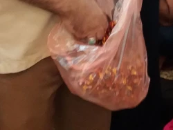 مراسم ميلاد حضرت امام هادي در سرداب حرم حضرت ابالفضل  گزارش تصويري