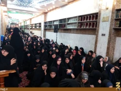 مراسم ميلاد حضرت امام هادي در سرداب حرم حضرت ابالفضل  گزارش تصويري