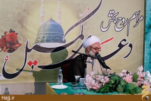 دست نياز و طلب عفو زائران ايراني در جوار بارگاه ملكوتي رسول الله(ص) گزارش تصويري