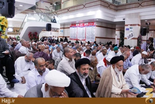دست نياز و طلب عفو زائران ايراني در جوار بارگاه ملكوتي رسول الله(ص) گزارش تصويري