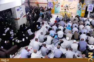 دست نياز و طلب عفو زائران ايراني در جوار بارگاه ملكوتي رسول الله(ص) گزارش تصويري