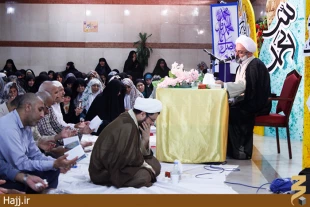 دست نياز و طلب عفو زائران ايراني در جوار بارگاه ملكوتي رسول الله(ص) گزارش تصويري
